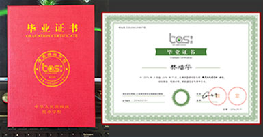 壹号毕业证书